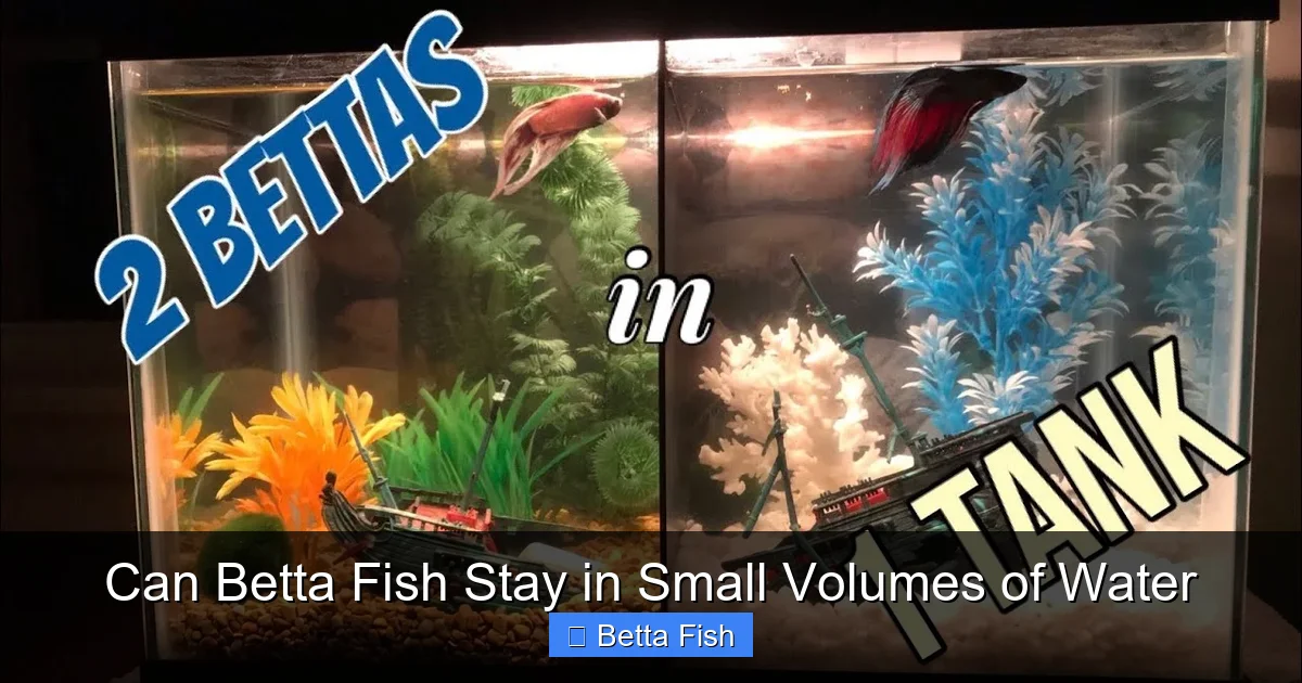 Can Betta Fish Stay in Small Volumes of Water