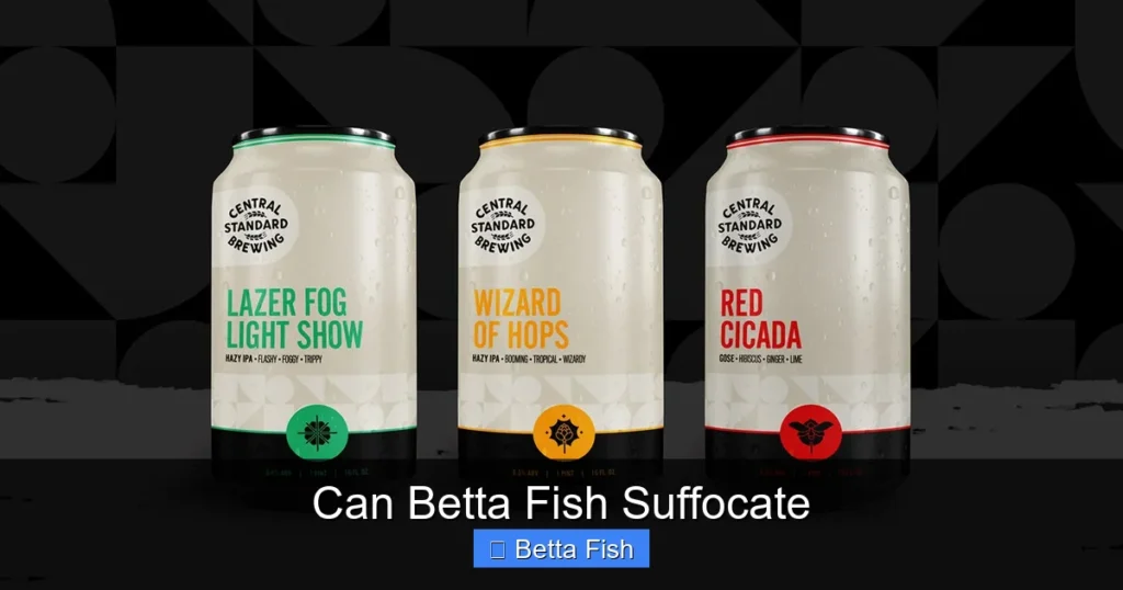 Can Betta Fish Suffocate