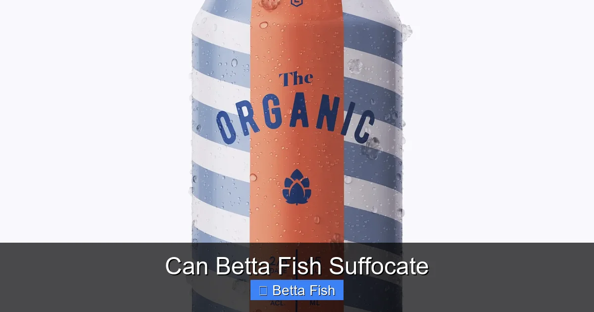 Can Betta Fish Suffocate