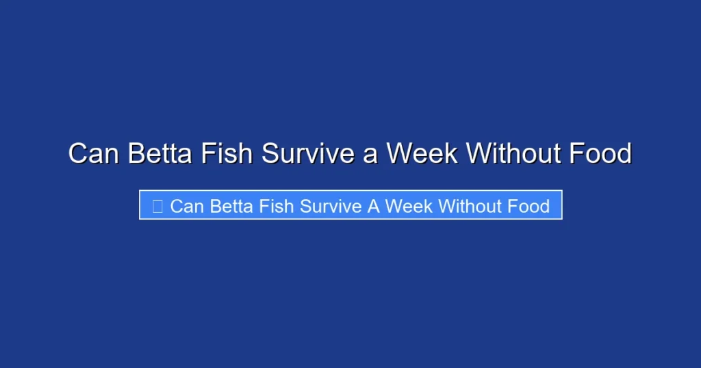 Can Betta Fish Survive a Week Without Food