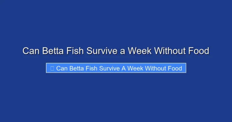 Can Betta Fish Survive a Week Without Food