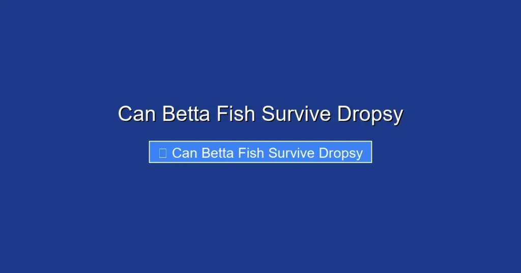 Can Betta Fish Survive Dropsy