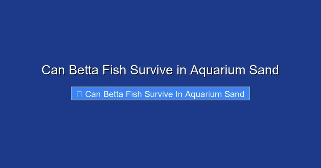Can Betta Fish Survive in Aquarium Sand
