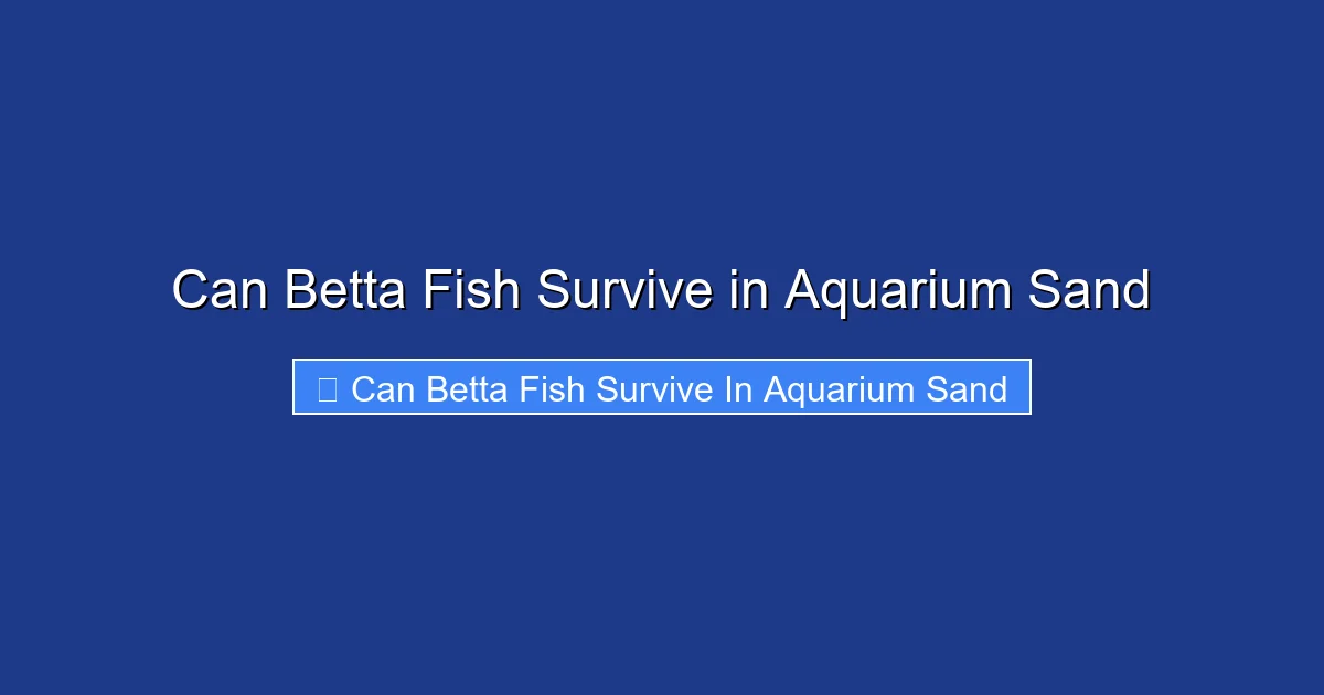 Can Betta Fish Survive in Aquarium Sand