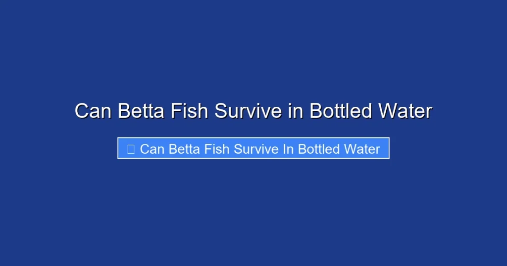 Can Betta Fish Survive in Bottled Water