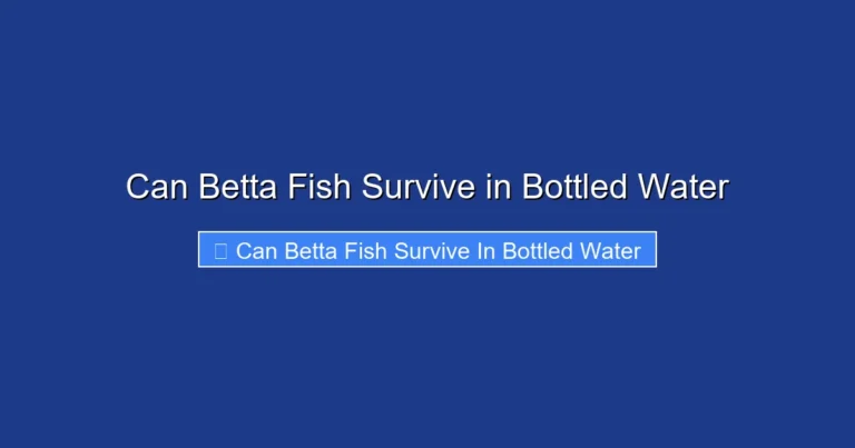 Can Betta Fish Survive in Bottled Water