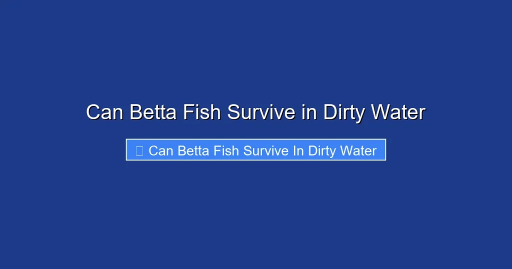 Can Betta Fish Survive in Dirty Water