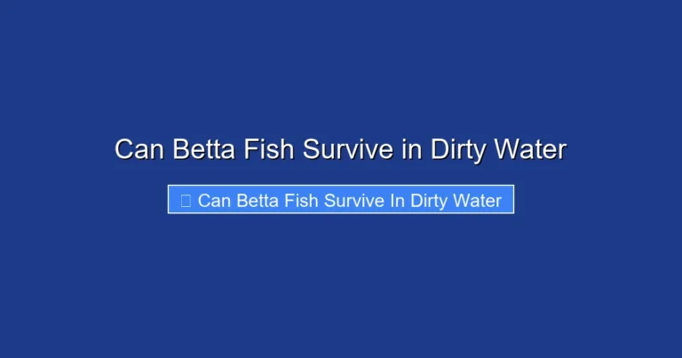 Can Betta Fish Survive in Dirty Water