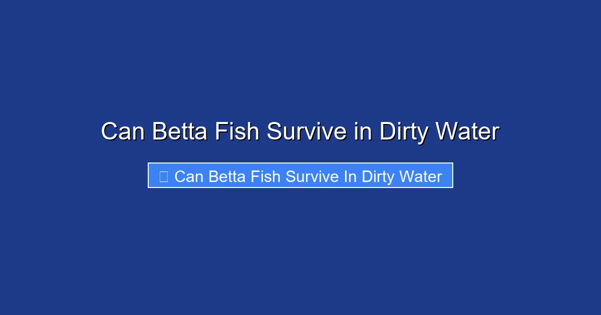 Can Betta Fish Survive in Dirty Water