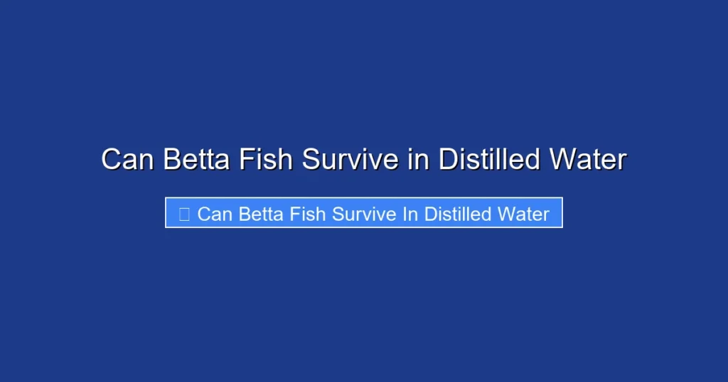Can Betta Fish Survive in Distilled Water
