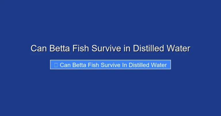 Can Betta Fish Survive in Distilled Water