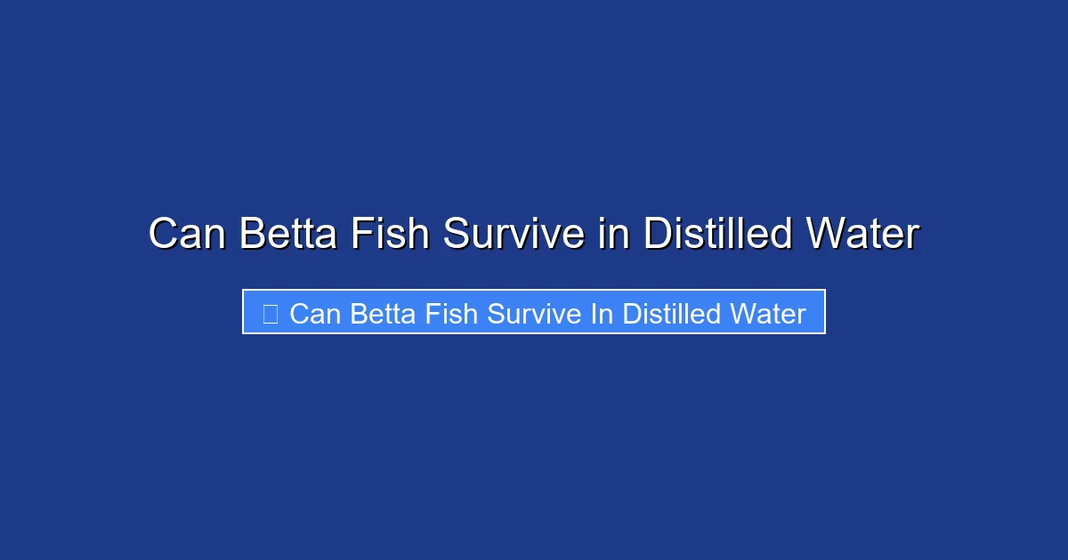 Can Betta Fish Survive in Distilled Water