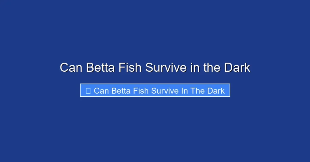 Can Betta Fish Survive in the Dark
