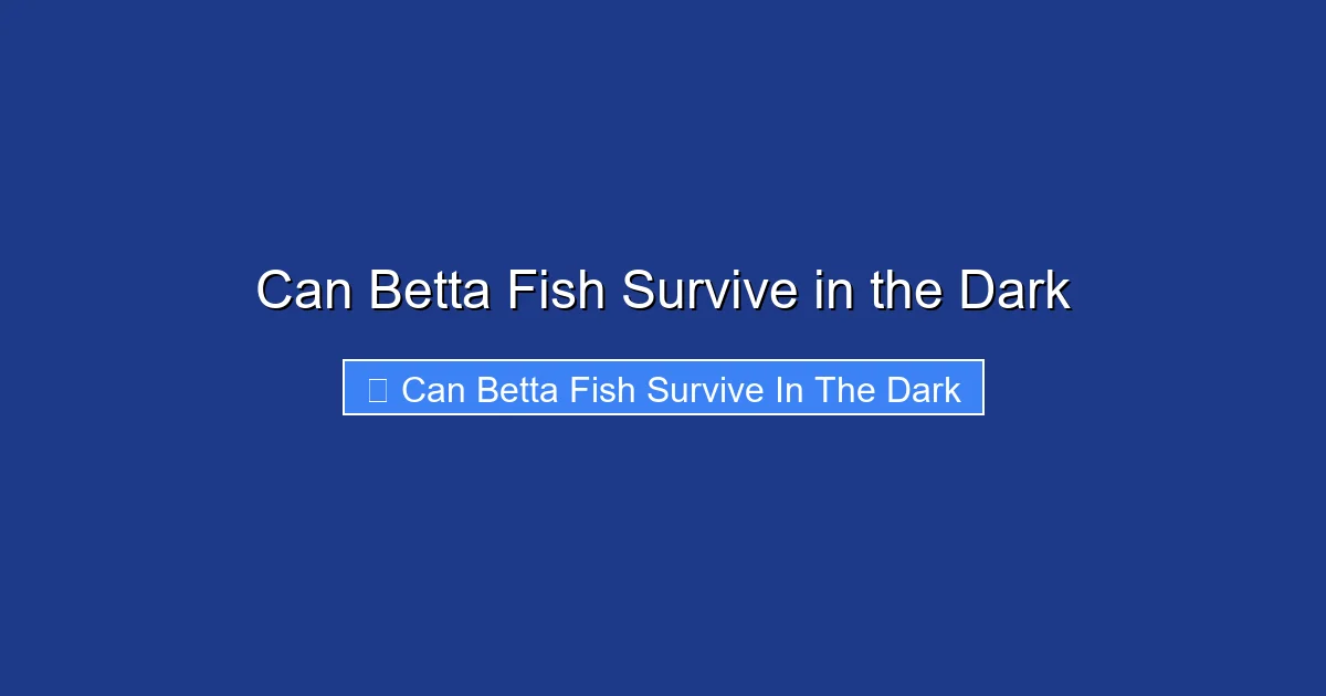 Can Betta Fish Survive in the Dark
