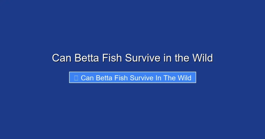 Can Betta Fish Survive in the Wild