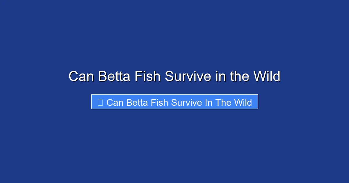 Can Betta Fish Survive in the Wild
