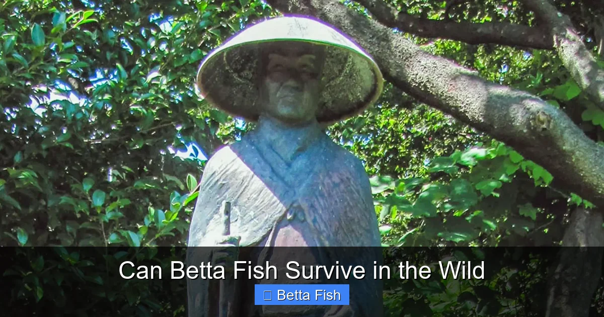 Can Betta Fish Survive in the Wild