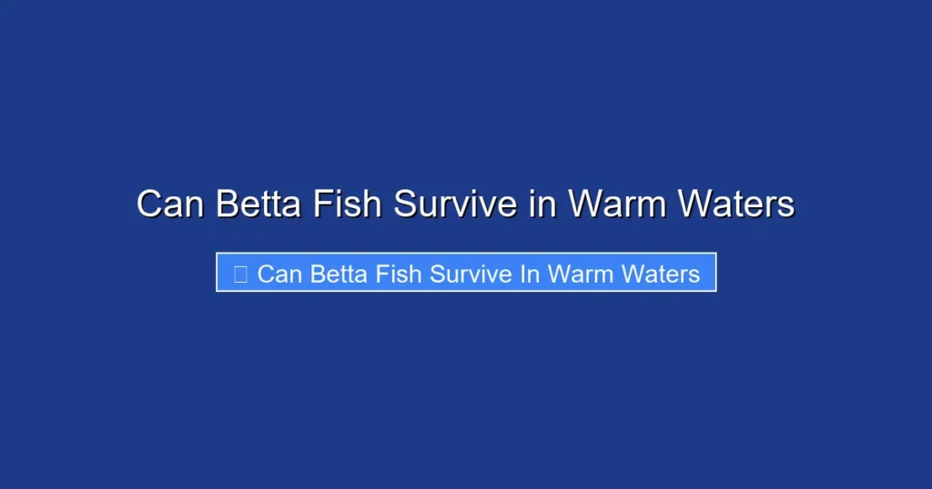 Can Betta Fish Survive in Warm Waters