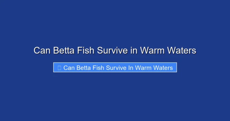 Can Betta Fish Survive in Warm Waters