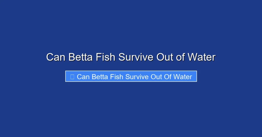 Can Betta Fish Survive Out of Water