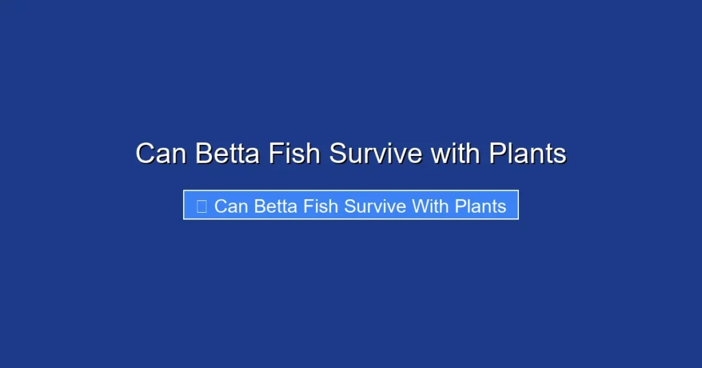 Can Betta Fish Survive with Plants