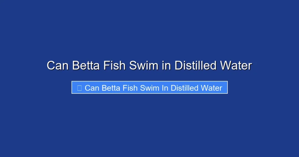 Can Betta Fish Swim in Distilled Water
