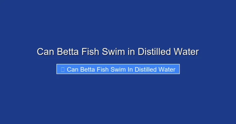 Can Betta Fish Swim in Distilled Water