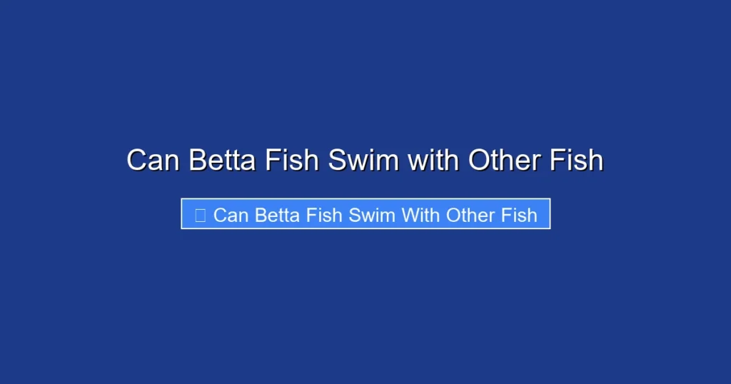 Can Betta Fish Swim with Other Fish