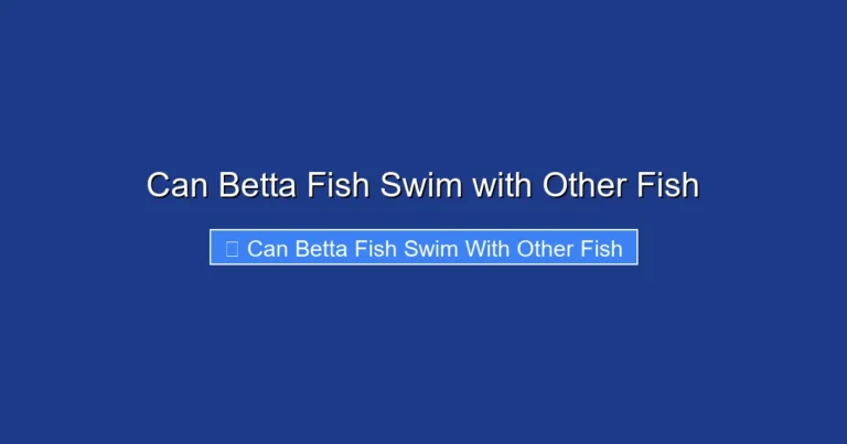Can Betta Fish Swim with Other Fish