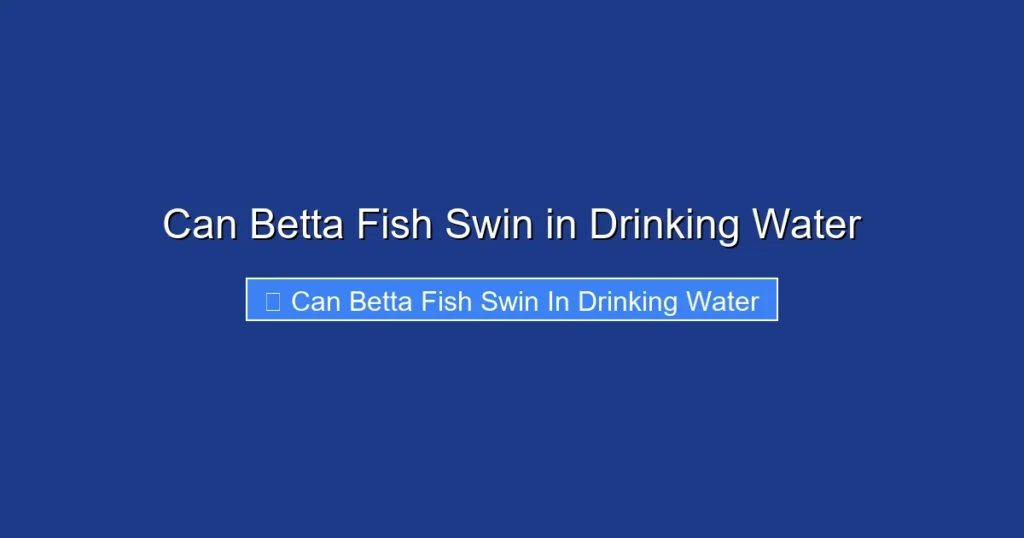 Can Betta Fish Swin in Drinking Water