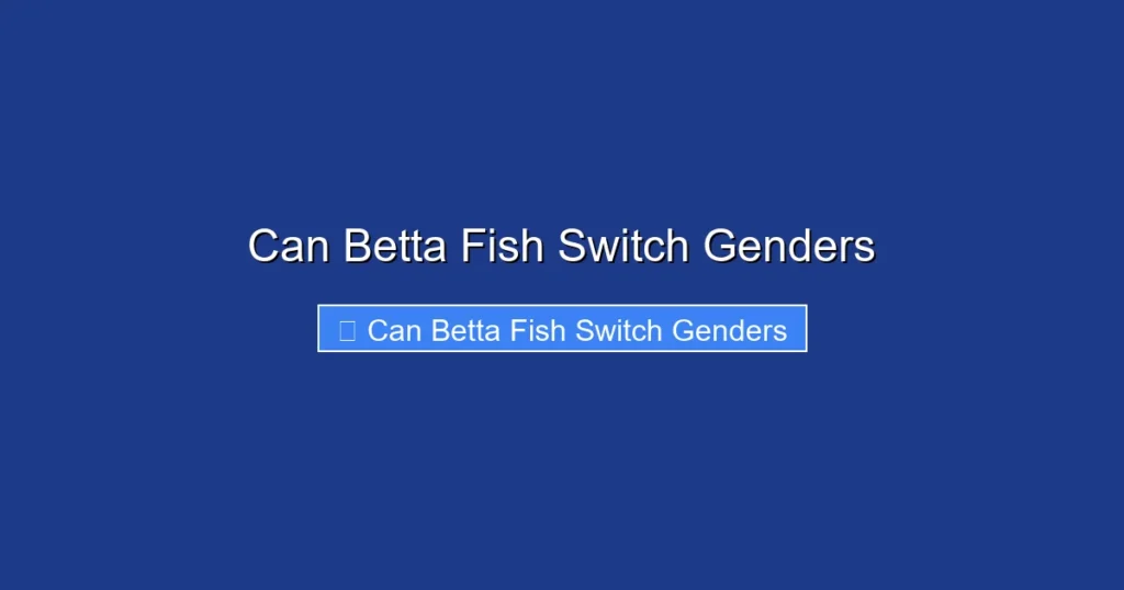 Can Betta Fish Switch Genders