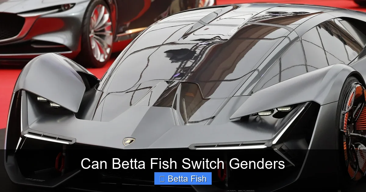 Can Betta Fish Switch Genders