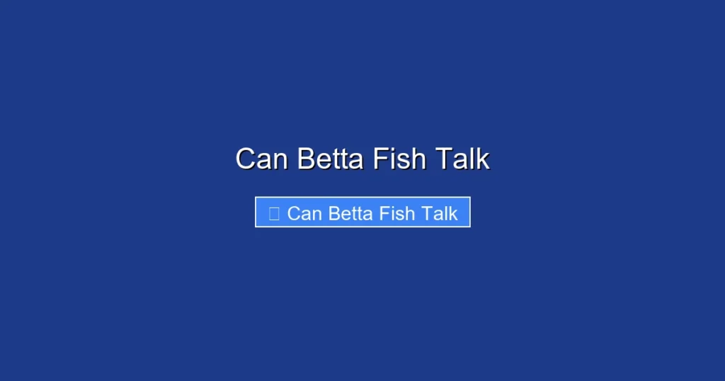 Can Betta Fish Talk