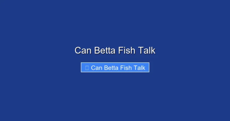 Can Betta Fish Talk
