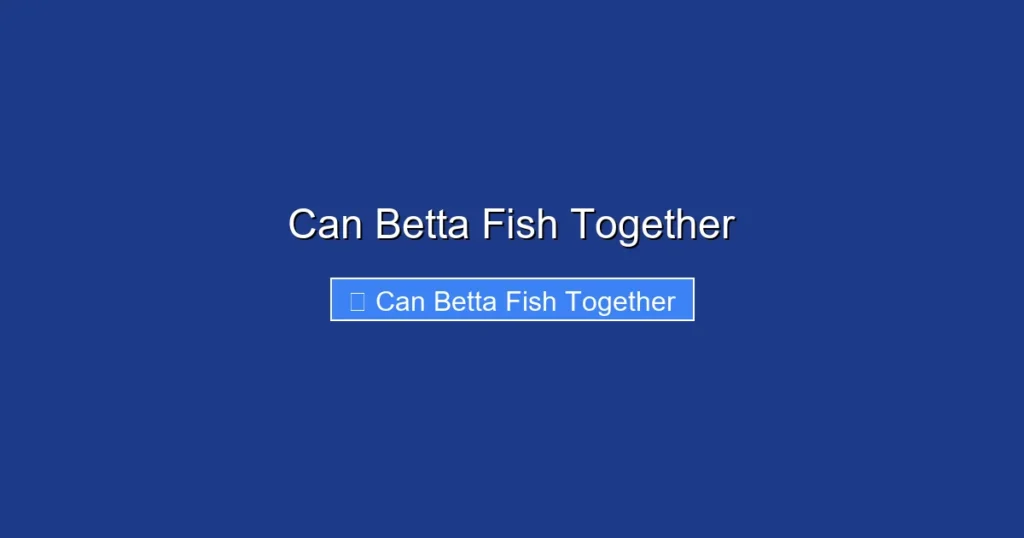 Can Betta Fish Together