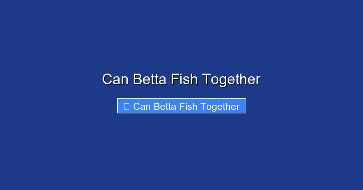 Can Betta Fish Together