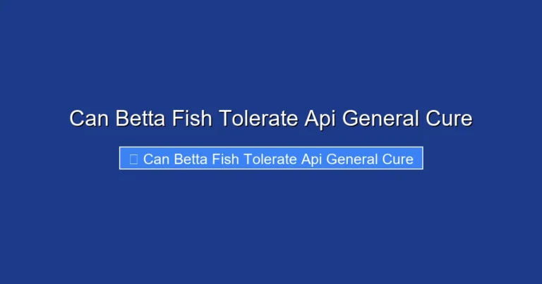 Can Betta Fish Tolerate Api General Cure