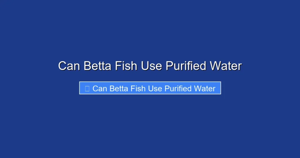 Can Betta Fish Use Purified Water