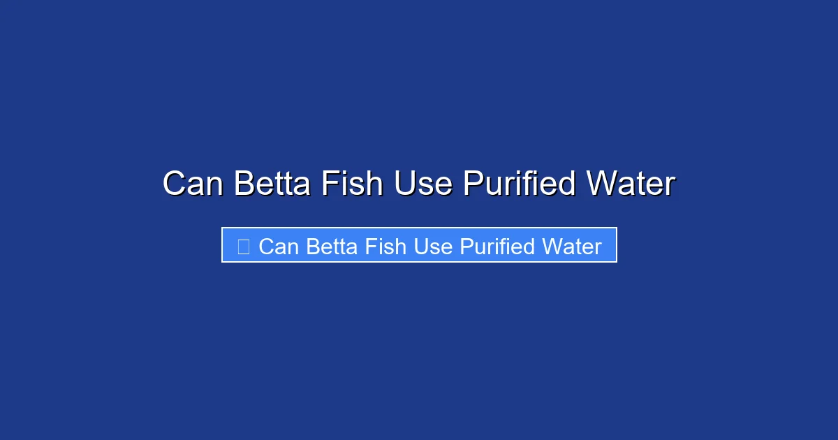 Can Betta Fish Use Purified Water