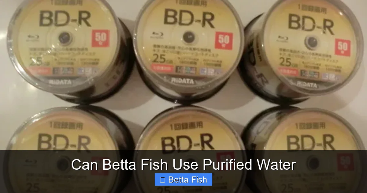 Can Betta Fish Use Purified Water