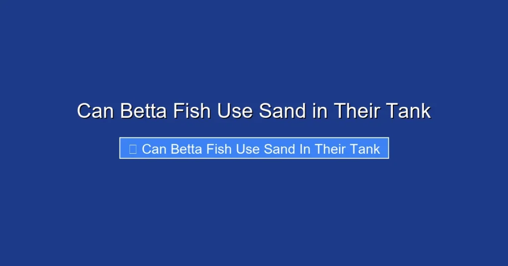 Can Betta Fish Use Sand in Their Tank
