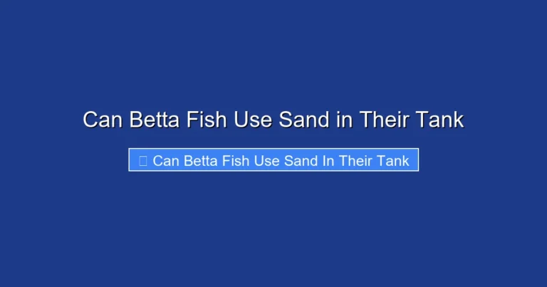 Can Betta Fish Use Sand in Their Tank