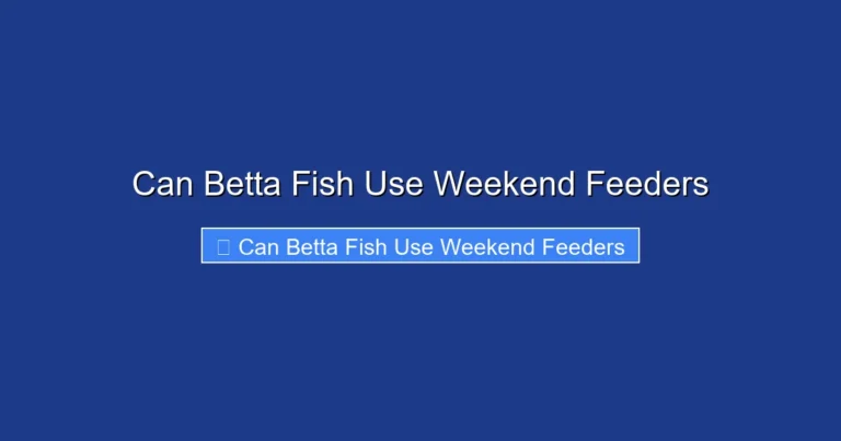 Can Betta Fish Use Weekend Feeders