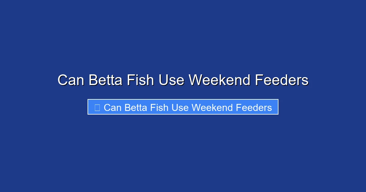 Can Betta Fish Use Weekend Feeders