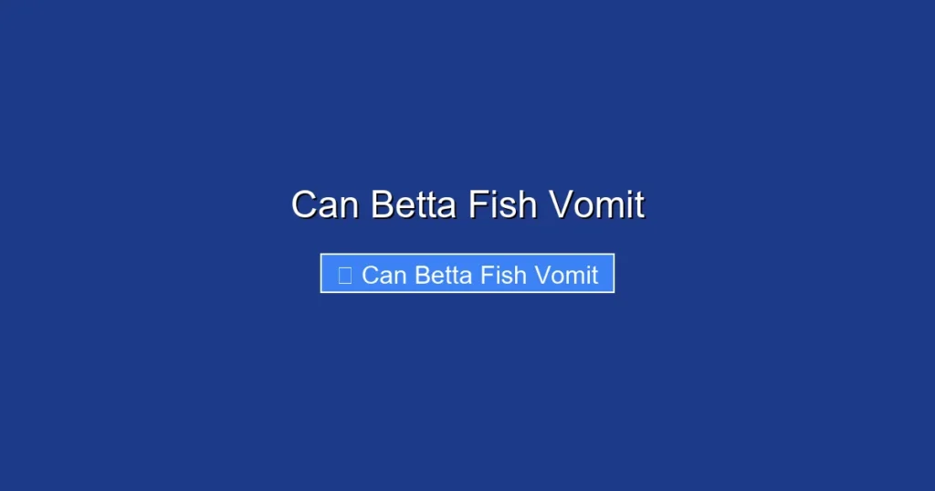 Can Betta Fish Vomit