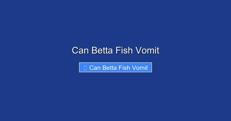 Can Betta Fish Vomit