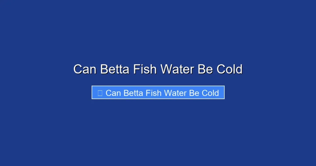 Can Betta Fish Water Be Cold