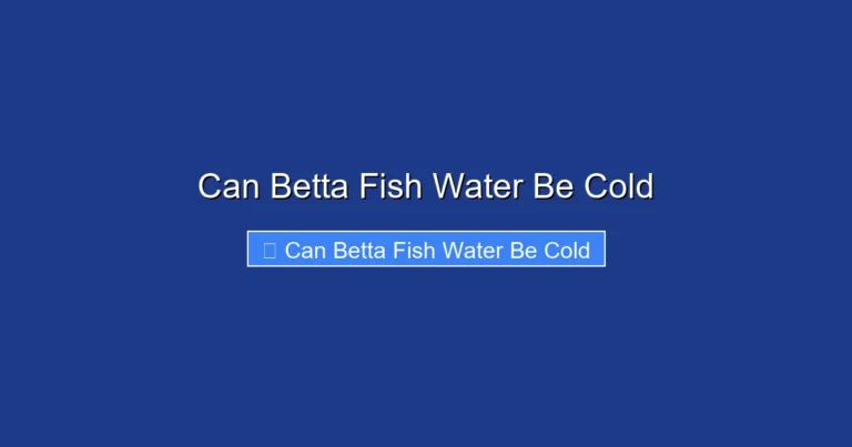 Can Betta Fish Water Be Cold