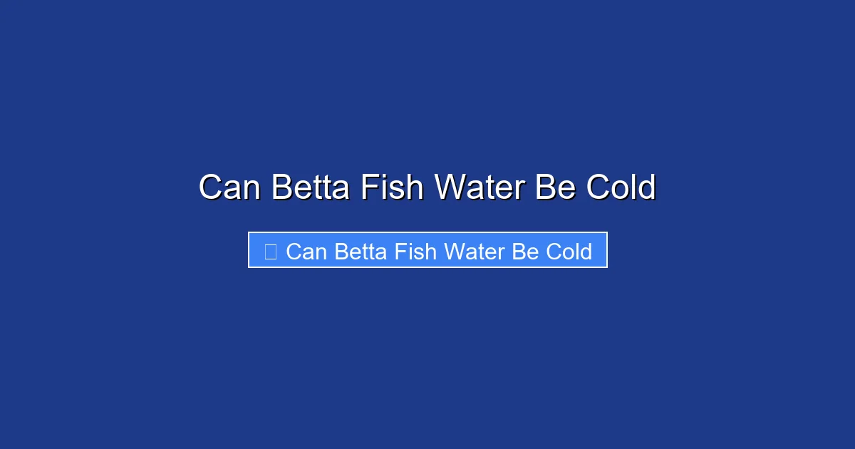 Can Betta Fish Water Be Cold