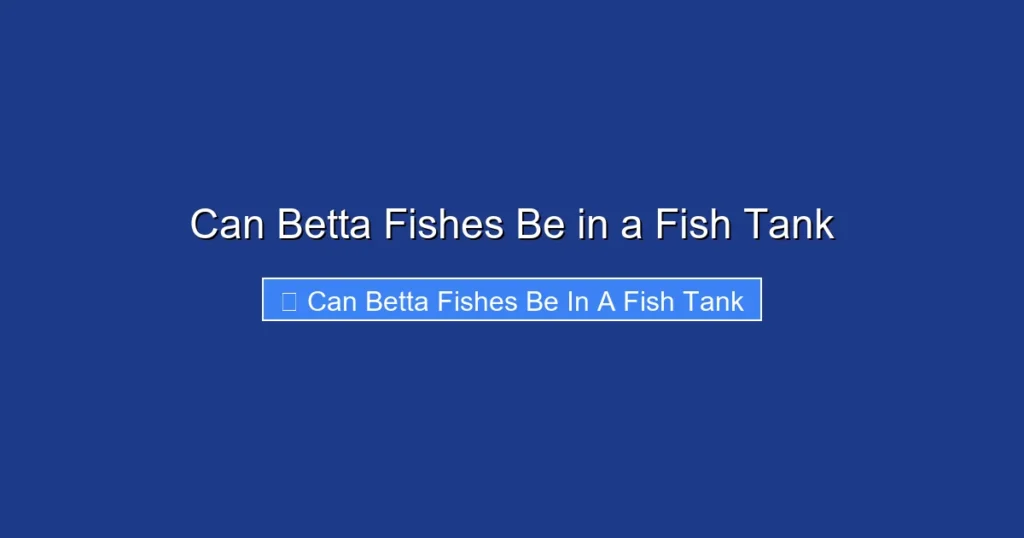 Can Betta Fishes Be in a Fish Tank